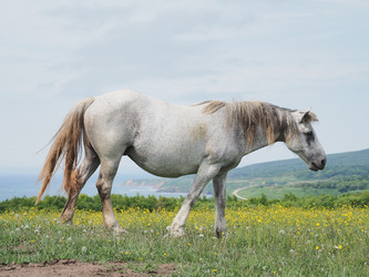 Similar image 22464857