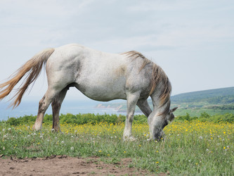 Similar image 22464858