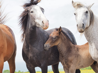 Similar image 22464859