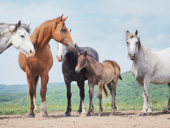 Similar image 22464785