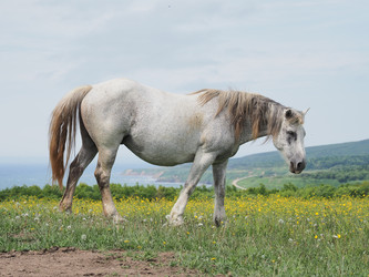 Similar image 22464800