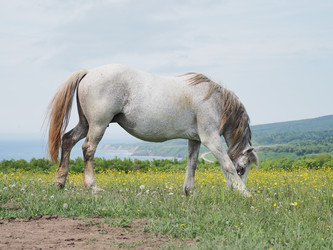 Similar image 22464801