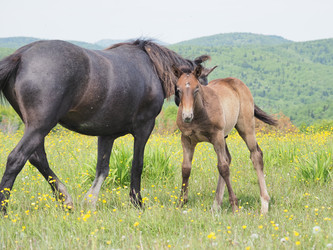 Similar image 22464802