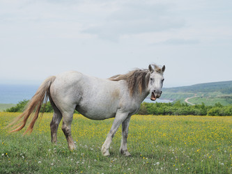 Similar image 22464803