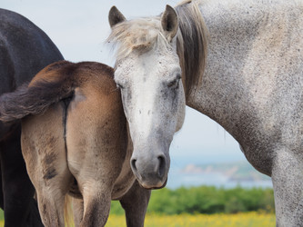 Similar image 22464804