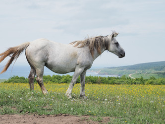 Similar image 22464805