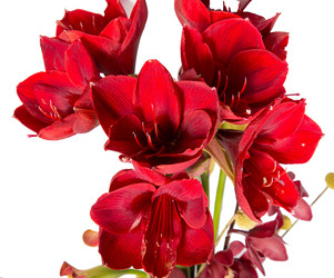 Similar image 22458517