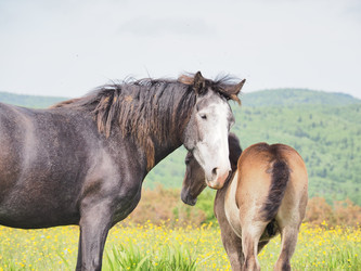 Similar image 22464806