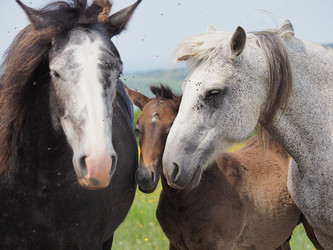 Similar image 22464807