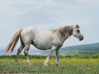 Similar image 22464808