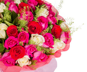 Similar image 22458519