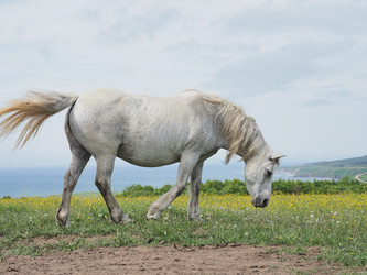 Similar image 22464810