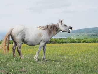 Similar image 22464811