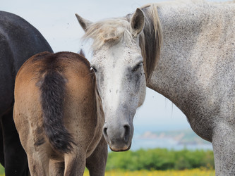 Similar image 22464813