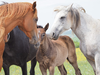 Similar image 22464814