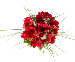 Similar image 22458523