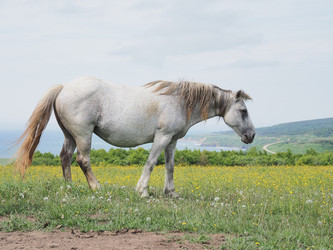 Similar image 22464815