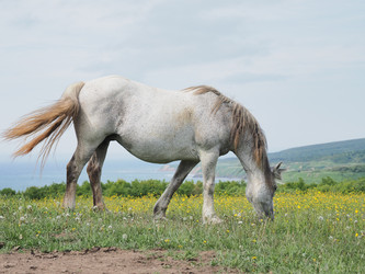 Similar image 22464816