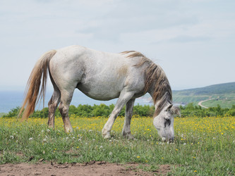 Similar image 22464817