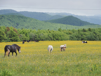 Similar image 22464818