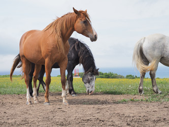 Similar image 22464819