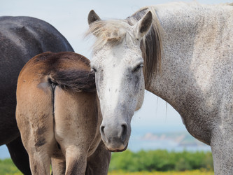 Similar image 22464820