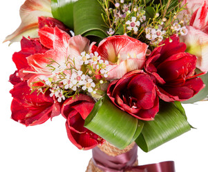 Similar image 22458531