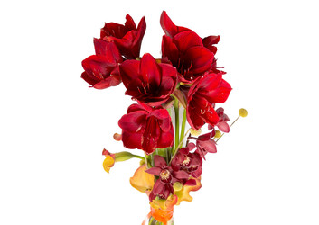 Similar image 22458532