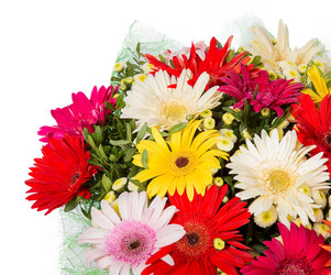 Similar image 22458535