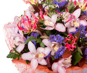 Similar image 22458538