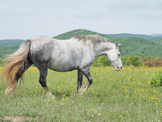 Similar image 22464821