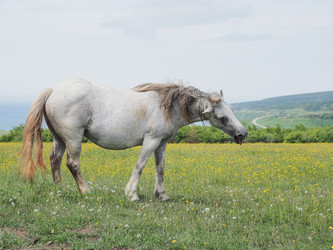 Similar image 22464822