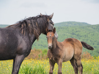 Similar image 22464823