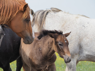 Similar image 22464824