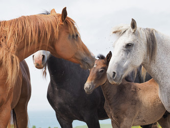 Similar image 22464825