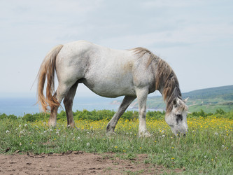 Similar image 22464826