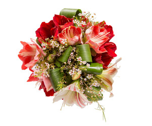 Similar image 22458541