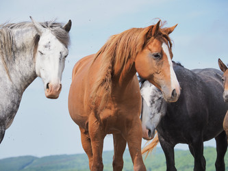 Similar image 22464827