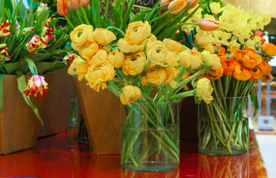 Similar image 22458549