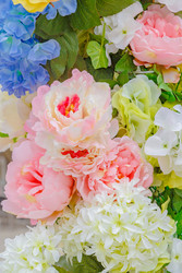 Similar image 22458552