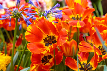 Similar image 22458556