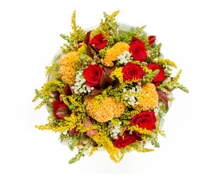 Similar image 22458559