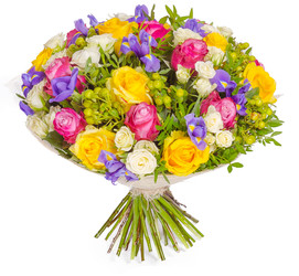 Similar image 22458564