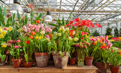 Similar image 22458565