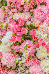 Similar image 22458568