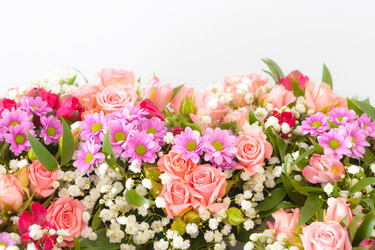 Similar image 22458578