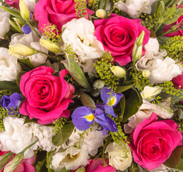 Similar image 22458579