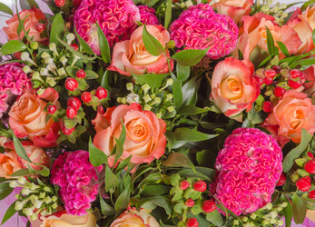 Similar image 22458581