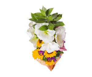 Similar image 22458588