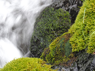 Similar image 22469712